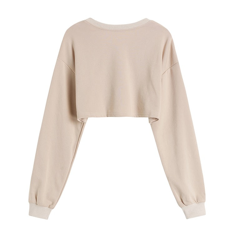 Beige Crop Sweater