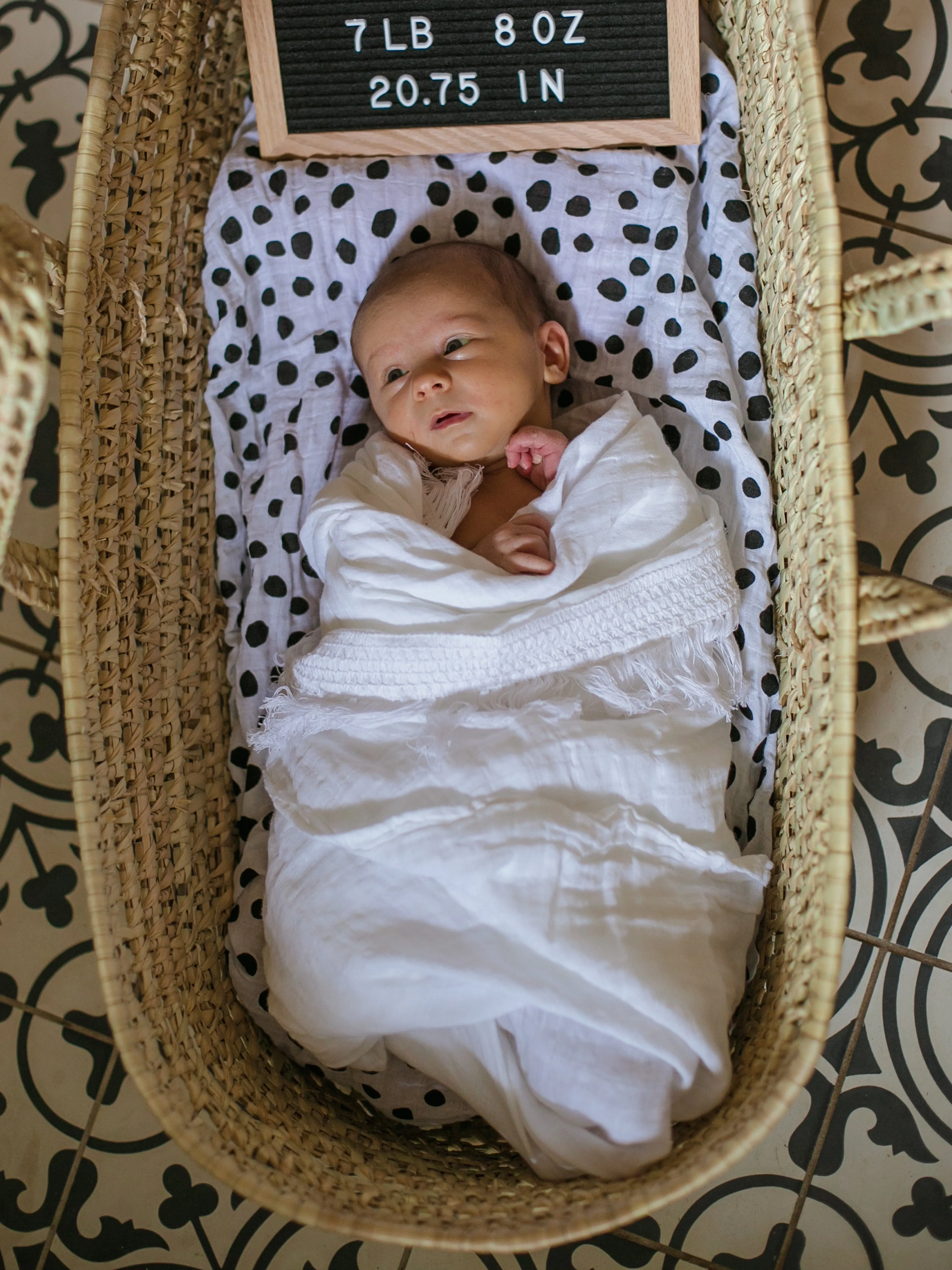 Organic Changing Pad Cover -  Spots 